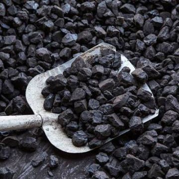 Coal India’s capex grows 12% to Rs 14,834 crore in FY22
