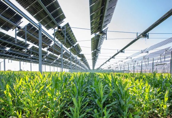 Agrivoltaics: States Court Investors as Farm-Solar Adoption Accelerates