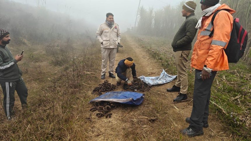 DFCCIL Uses GPS to Bust ERC Theft in Ambala, Averts Rail Mishap