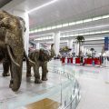 Delhi Airport Expands Domestic Network to 90 Destinations with Launch of Direct Flights to Daman
