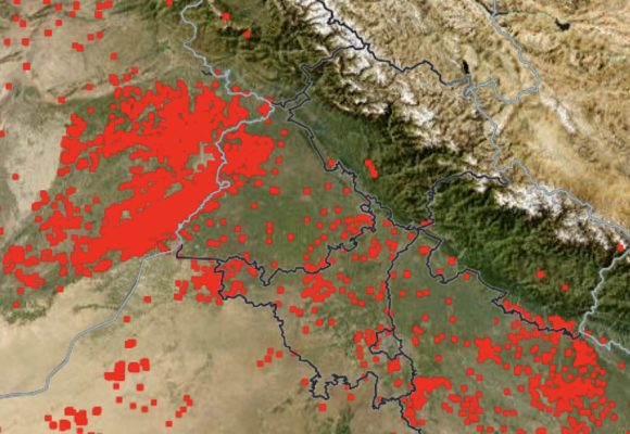 SAEL to Procure 2 MT of Paddy Waste for Clean Energy Push, Targets 300,000 Tonnes CO₂e Avoidance