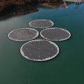 Tata Power Partners with Norway’s Ocean Sun to Pilot Membrane‑Based Floating Solar in India